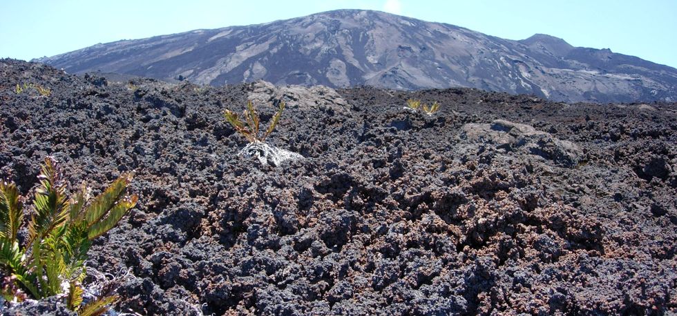 Descente vers le Gros B�nard