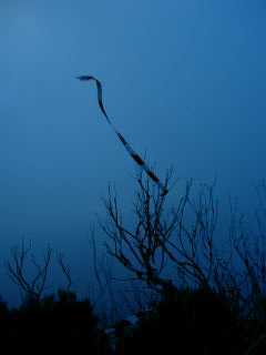 Dans les nuages