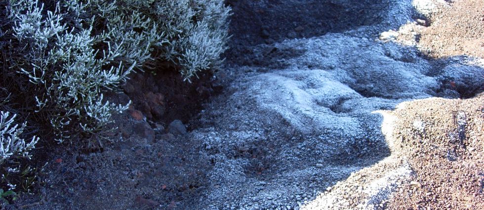 Glace au matin sur le sentier du Piton de Bert