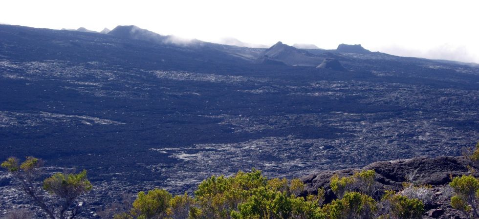 Vers le Piton de Bert -Enclos