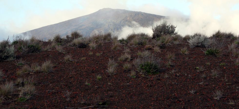 Piton de la Fournaise vu depuis le sentier du Piton de Bert