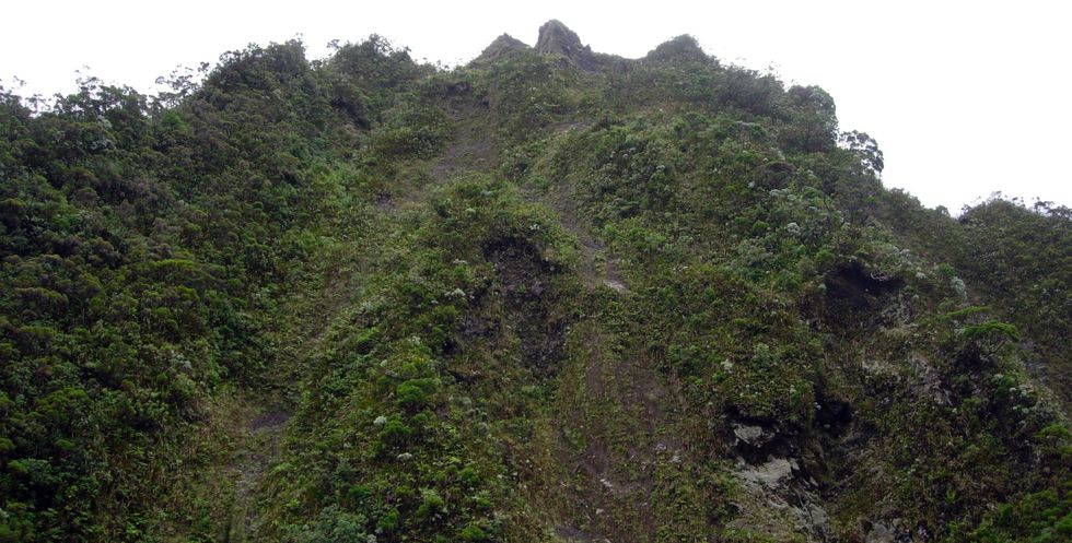 Piton de Crac vue du sud-ouest