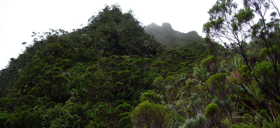 Piton de Crac face ouest
