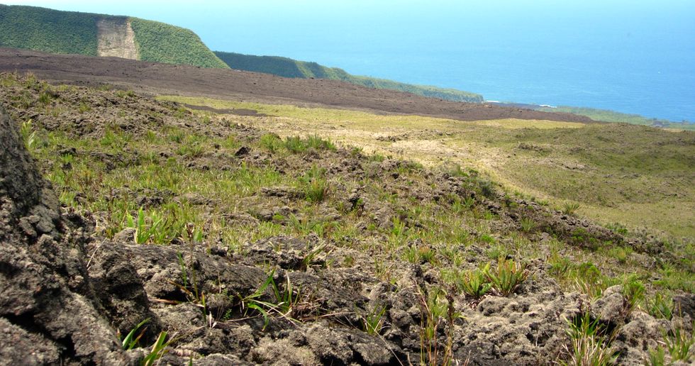 Vers la mer, depuis le Piton de Crac
