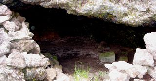 Caverne des Lataniers