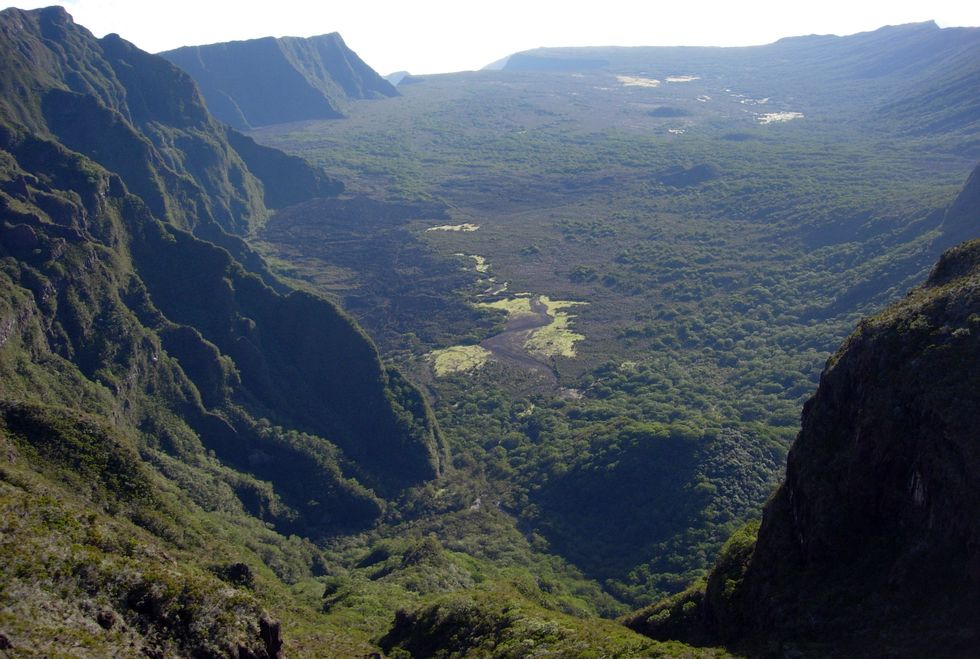 Fond de la rivi�re de l'Est depuis Piton des Basaltes