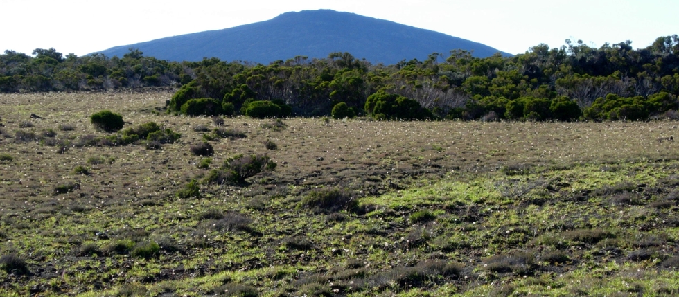 PLateau des Basaltes