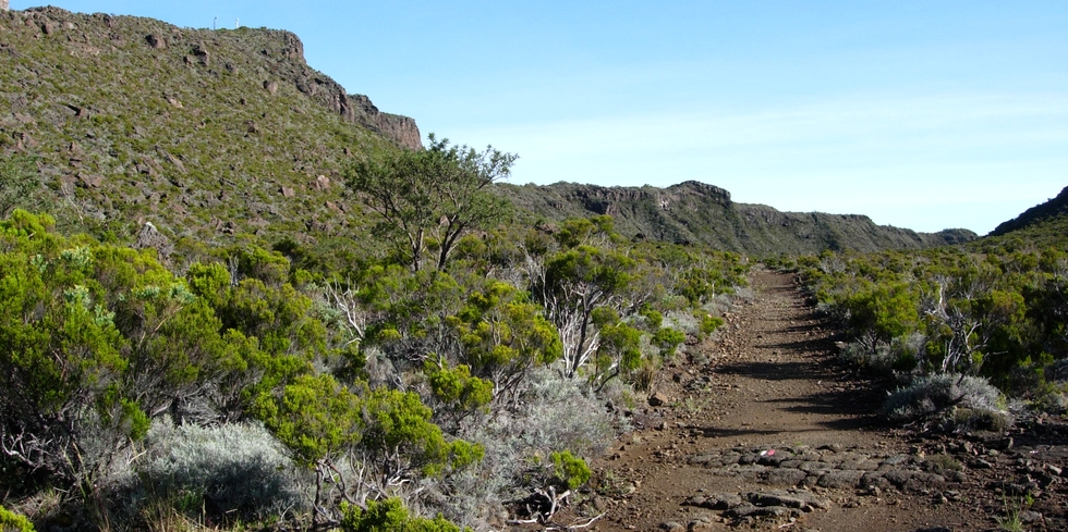 Plateau des Basaltes