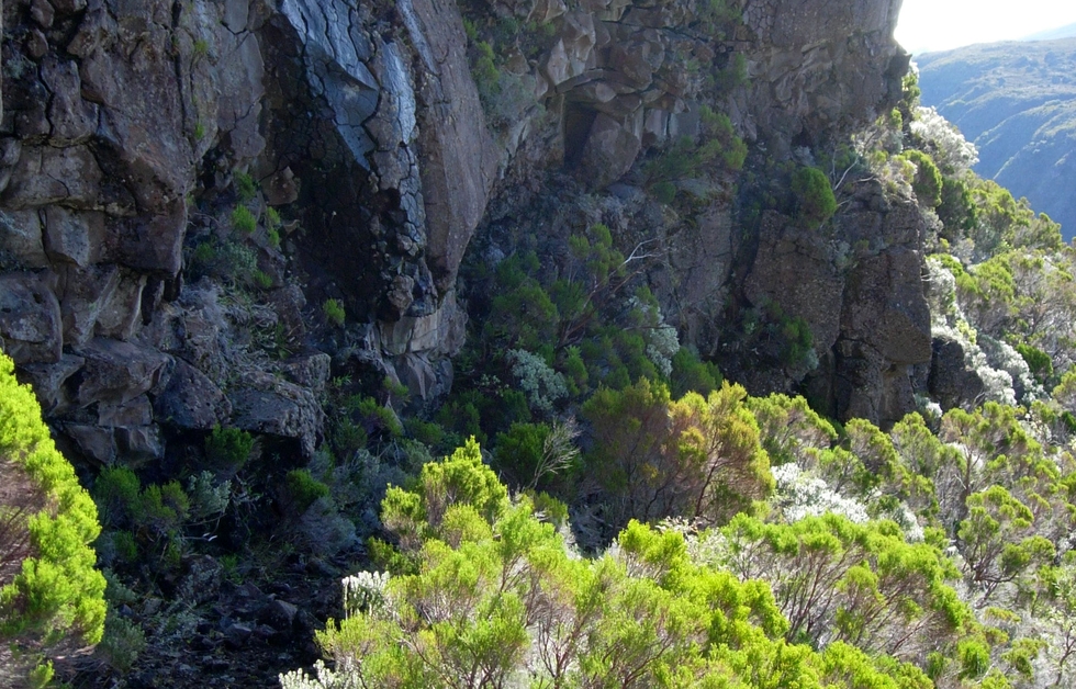 Descente du Plateau des Basaltes