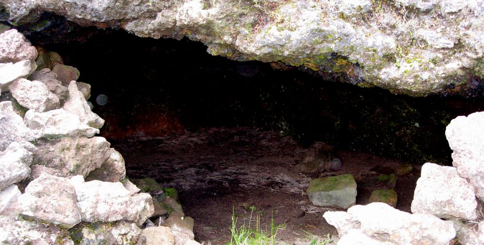 Caverne des Lataniers