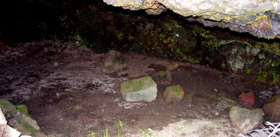 Caverne des Lataniers