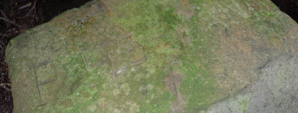 Caverne des Lataniers