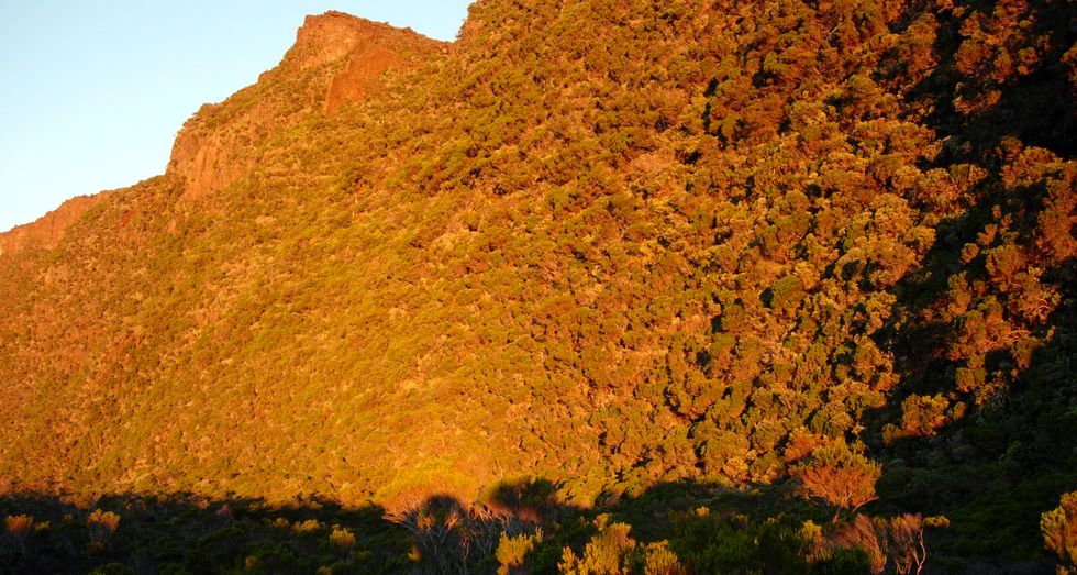 Rempart de l'Enclos illumin� au soleil