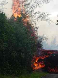 Feu de joie