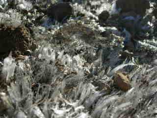 Cristaux de glace
