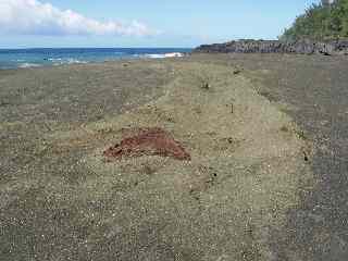 Traces sur le sable