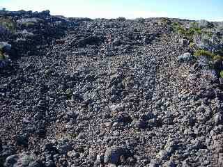 Piste vers le Piton de Bert