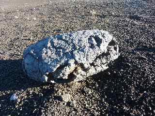 Bombe volcanique au pied du Piton Chisny