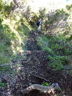 Sentier et marches