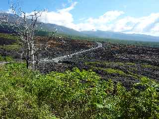Coule 2007 et route des laves