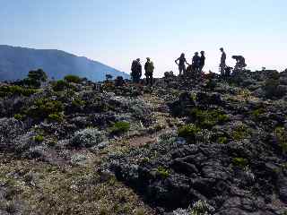 Visiteurs au Piton de Bert