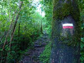 Fort de Basse Valle - Sentier GR R2 -