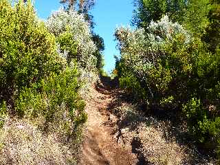 Sentier vers les Trous Blancs