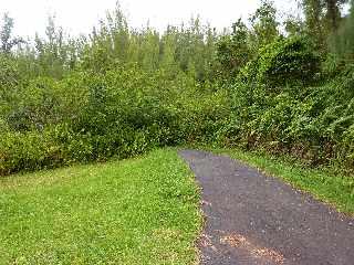 Grand Brl - Route des laves - Coule 98 en bordure de la route
