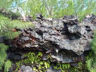 Coules de Fvrier 2005 - Piton de la Fournaise -