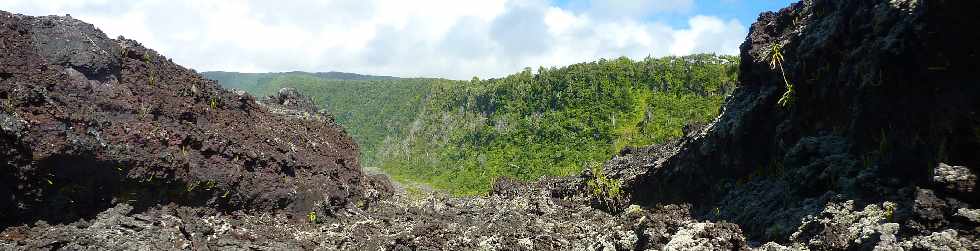 Coules de Fvrier 2005 - Piton de la Fournaise -
