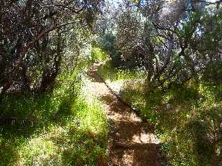 Sentier du Nez Coup de Ste-Rose -