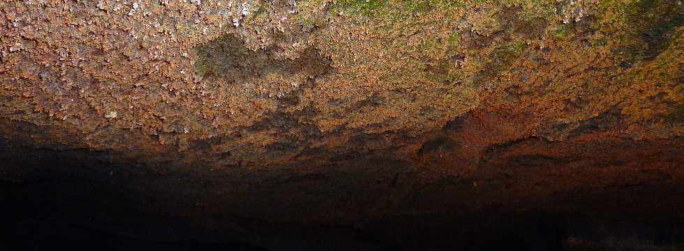 Coule de lave d'avril 2007 - St-Philippe - 24/02/2013