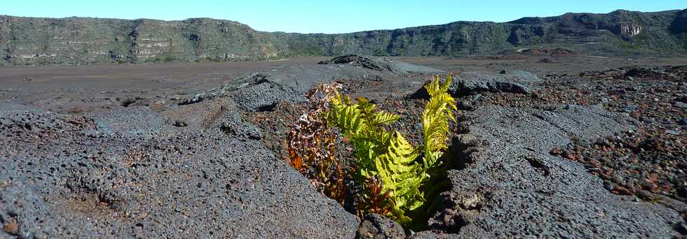 Plaine des Sables