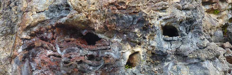 2014 - Piton de la Fournaise - Enclos -