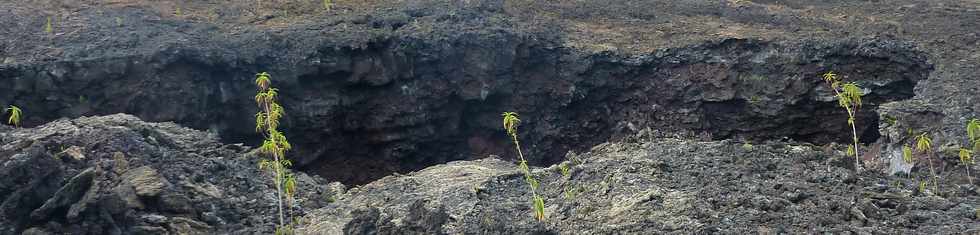 2014 - Piton de la Fournaise - Enclos -