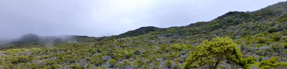 31 octobre 2014 - Massif du Piton de la Fournaise - Sentier du Rempart de la Rivire de l'Est - Piton Sauvetage -