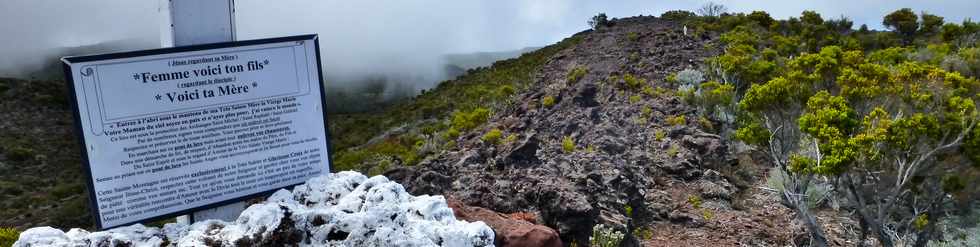 Piton de la Fournaise - Piton des Feux  Mauzac -