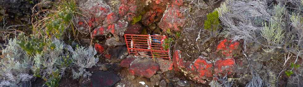 19 mai 2015 - Piton de la Fournaise - Sentier du Piton de Bert -  Oratoire
