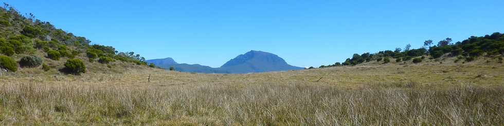 23 mai 2015 - Massif du Piton de la Fournaise - PIton Argamasse - Mare -