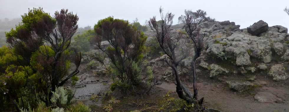 26 mai 2016 - Eruption au Piton de la Fournaise - Ile de la Runion - Piton de Bert - Pas de Bory