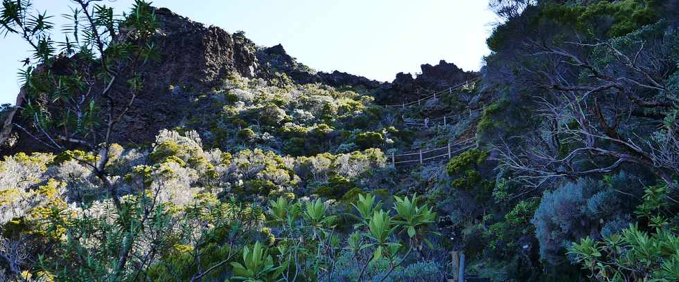 15 aot 2018 - Piton de la Fournaise - Sentier d'accs  la plateforme d'observation du cratre Dolomieu - Retour vers le Pas de Bellecombe  - Remonte du rempart -