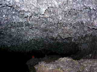 Ddale dans la lave