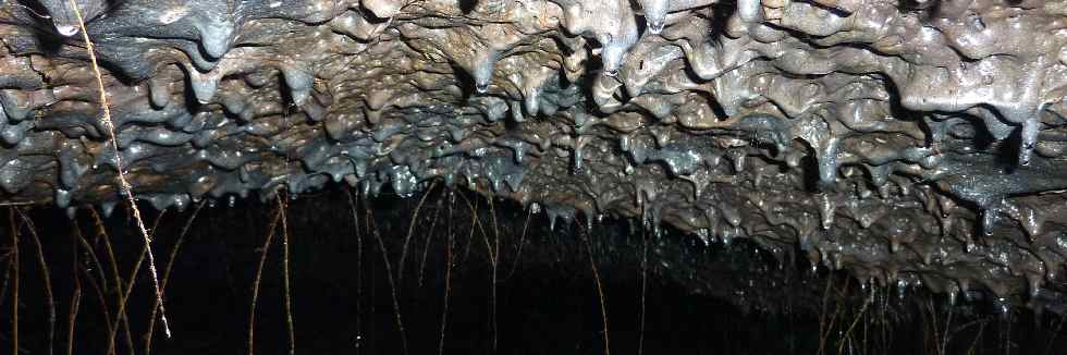 Tunnels de lave de la coule 2004