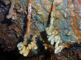Piton de la Fournaise - Tunnel de lave -  - Hlictites -