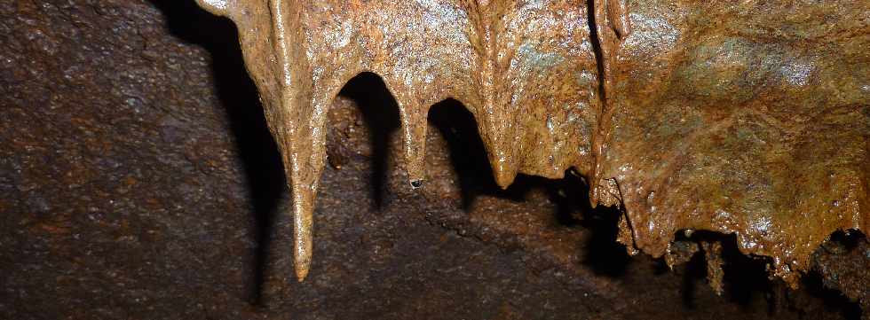 Tunnel de lave - Piton des Neiges -