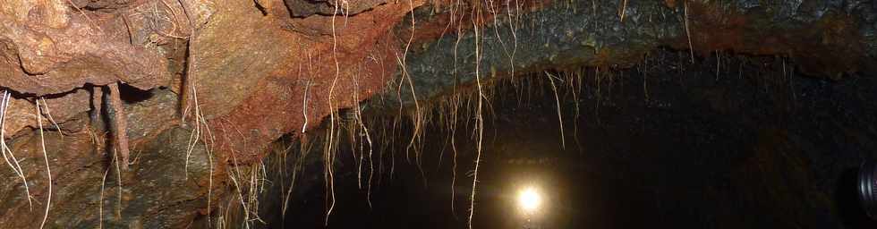 Fvrier 2016 - Tunnel de lave du massif du Piton de la Fournaise -