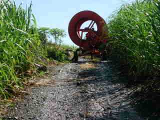 Irrigation
