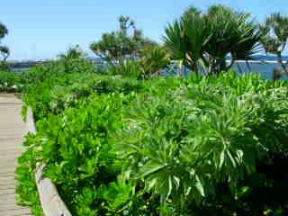 Jardins de la plage