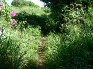 Sentier
