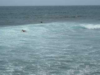 Surfers